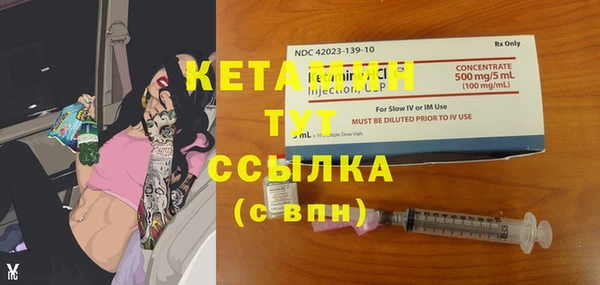 прущий лед Вяземский