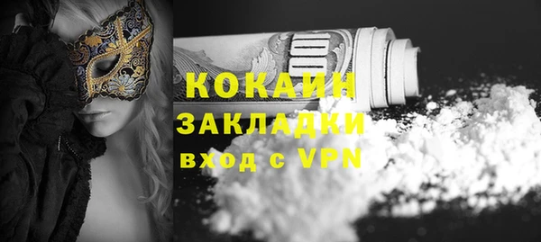прущий лед Вяземский