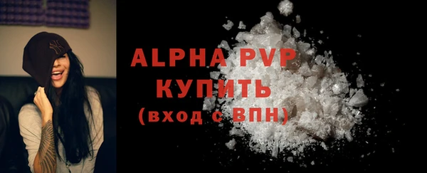 прущий лед Вяземский