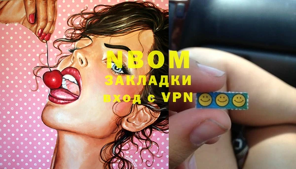 прущий лед Вяземский