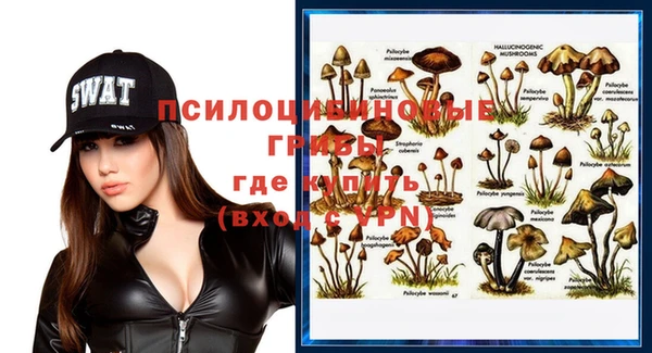 прущий лед Вяземский